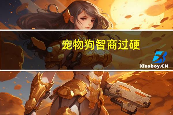宠物狗智商过硬