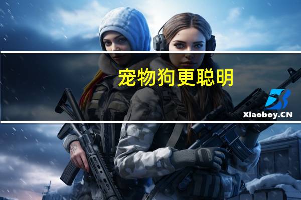 宠物狗更聪明