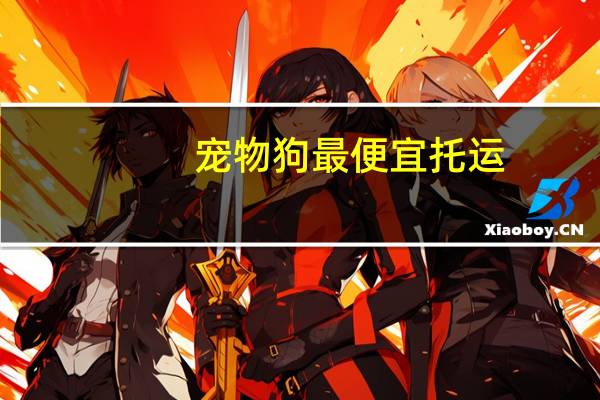 宠物狗最便宜托运