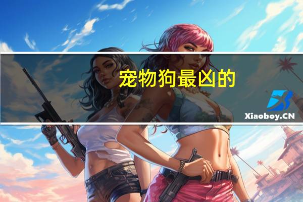 宠物狗最凶的