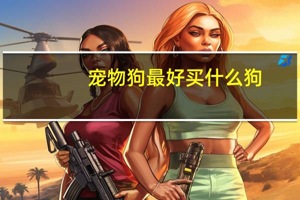 宠物狗最好买什么狗