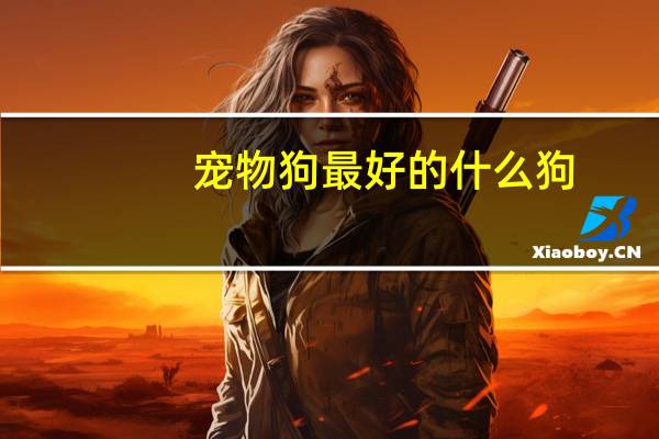 宠物狗最好的什么狗