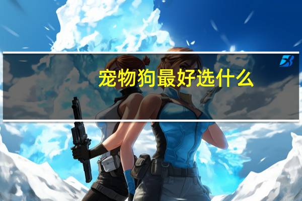宠物狗最好选什么