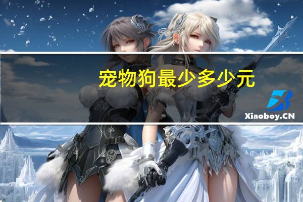 宠物狗最少多少元