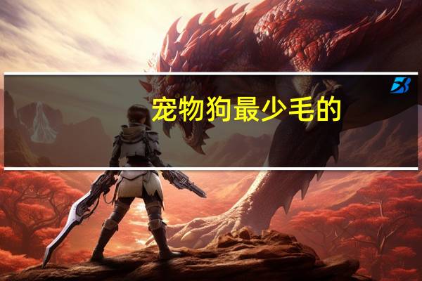宠物狗最少毛的