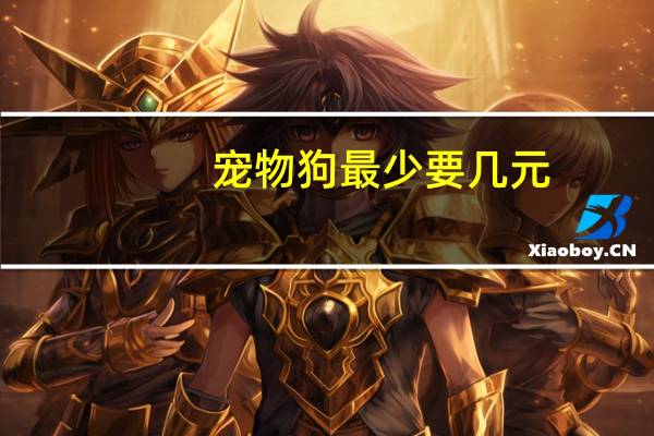 宠物狗最少要几元