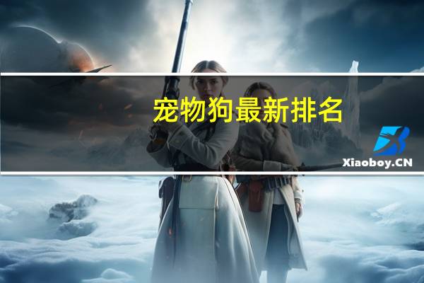 宠物狗最新排名