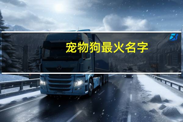 宠物狗最火名字