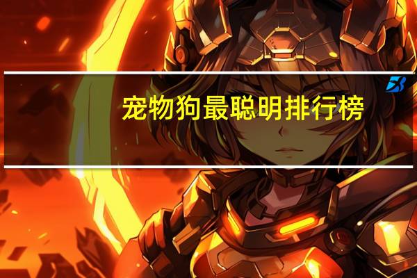 宠物狗最聪明排行榜
