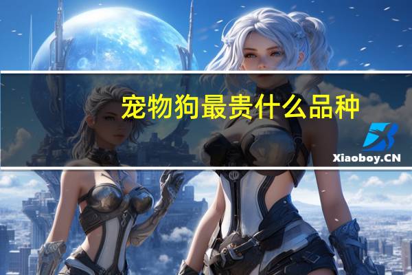 宠物狗最贵什么品种