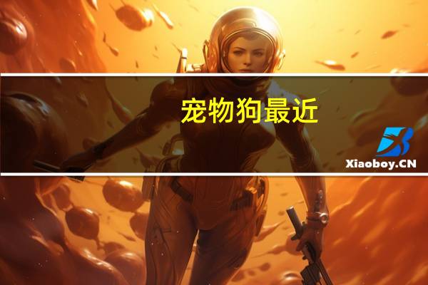 宠物狗最近