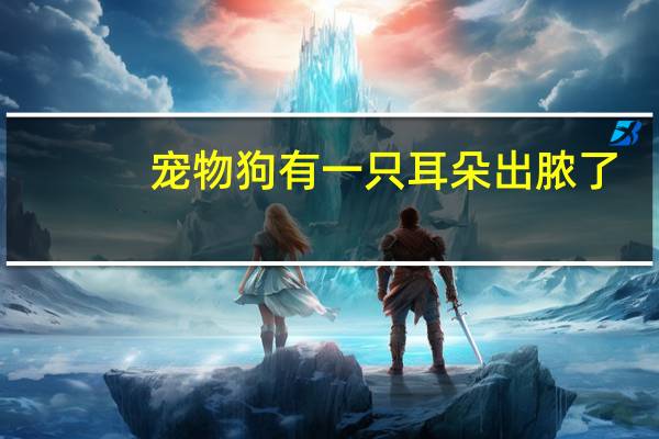 宠物狗有一只耳朵出脓了