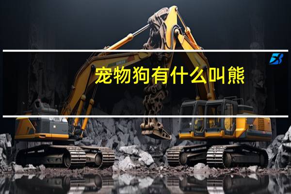宠物狗有什么叫熊