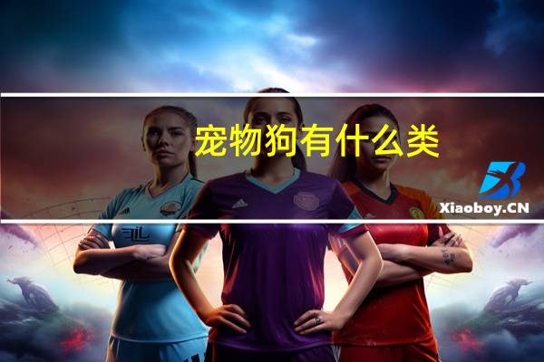 宠物狗有什么类