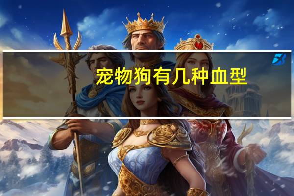 宠物狗有几种血型