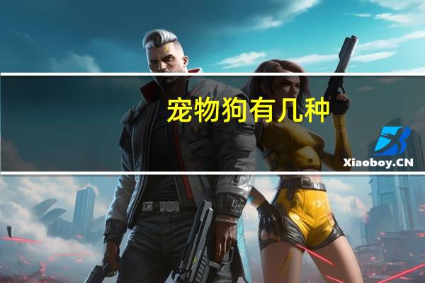 宠物狗有几种