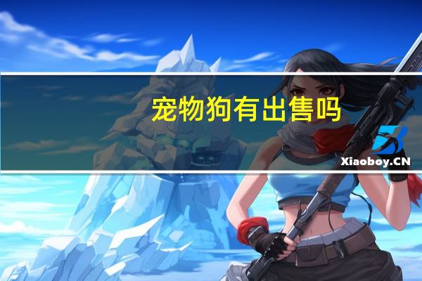 宠物狗有出售吗