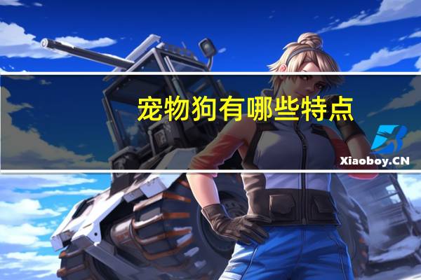 宠物狗有哪些特点