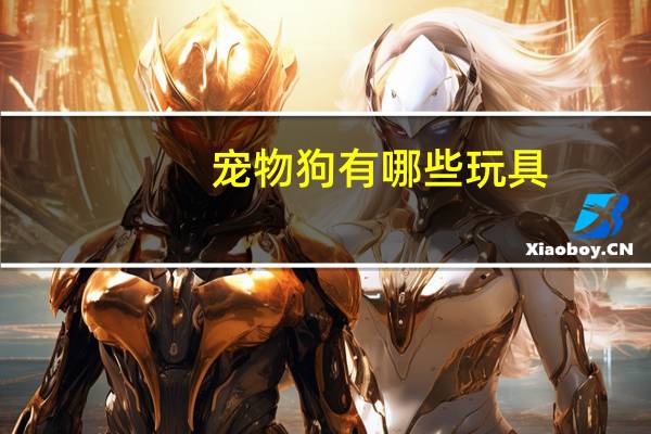 宠物狗有哪些玩具