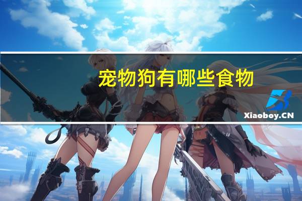 宠物狗有哪些食物