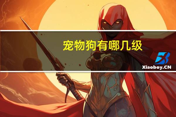 宠物狗有哪几级
