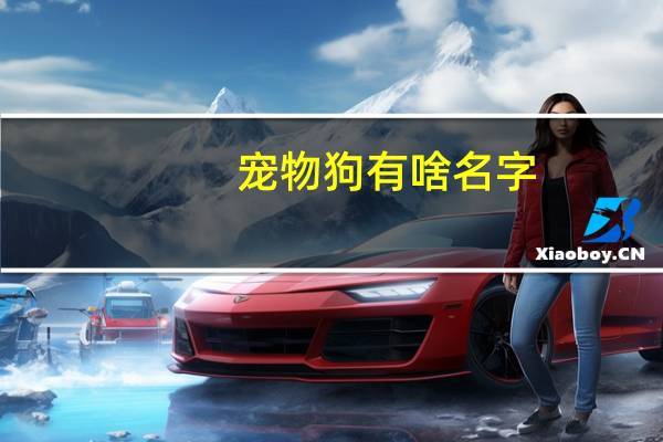 宠物狗有啥名字