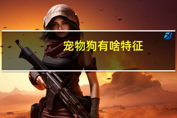 宠物狗有啥特征
