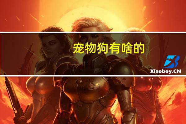 宠物狗有啥的