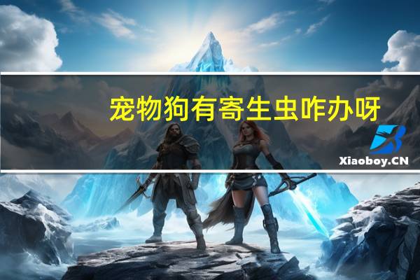 宠物狗有寄生虫咋办呀