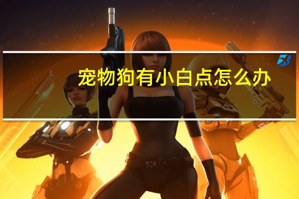 宠物狗有小白点怎么办