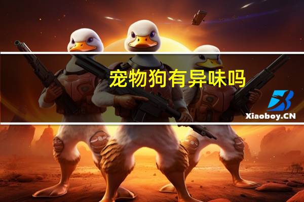 宠物狗有异味吗