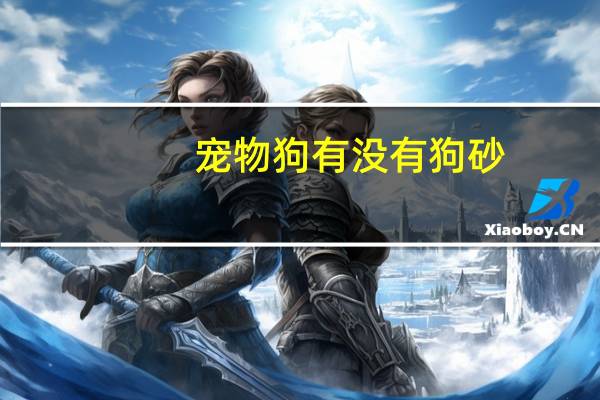 宠物狗有没有狗砂