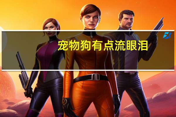 宠物狗有点流眼泪