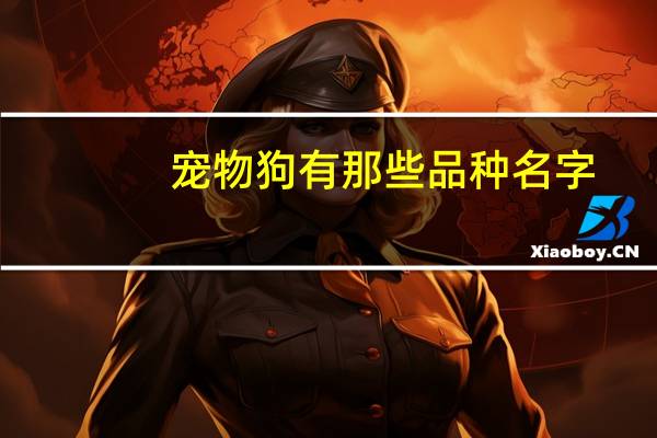 宠物狗有那些品种名字