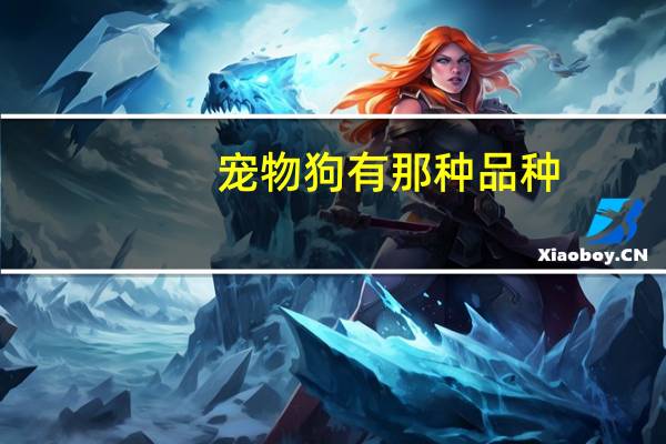 宠物狗有那种品种
