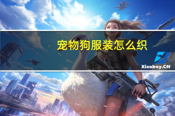 宠物狗服装怎么织