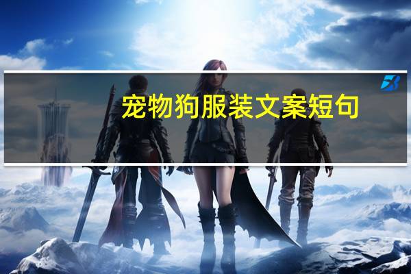 宠物狗服装文案短句