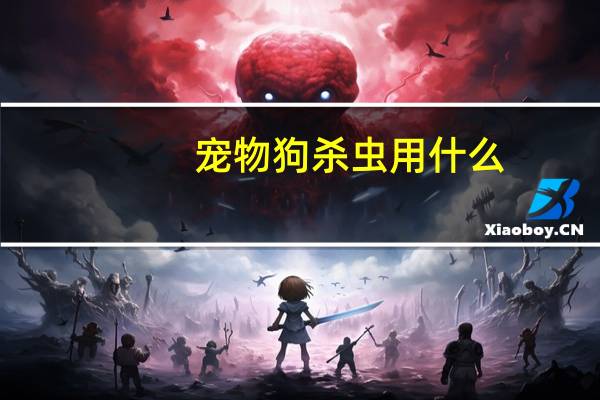 宠物狗杀虫用什么