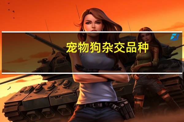宠物狗杂交品种