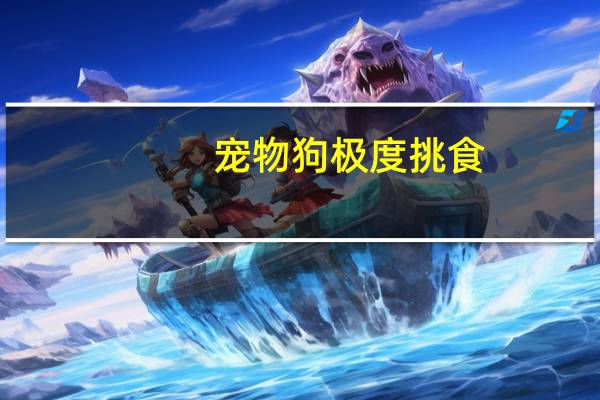 宠物狗极度挑食