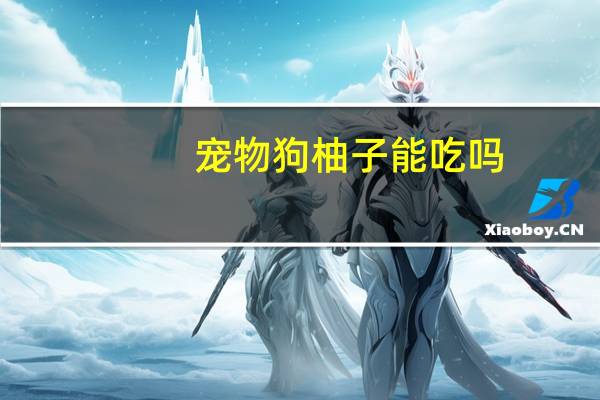 宠物狗柚子能吃吗