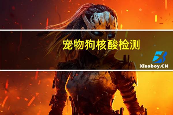 宠物狗核酸检测