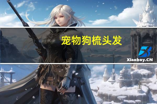宠物狗梳头发