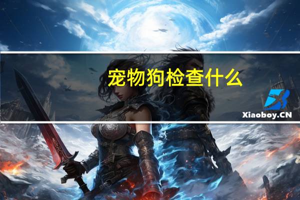 宠物狗检查什么