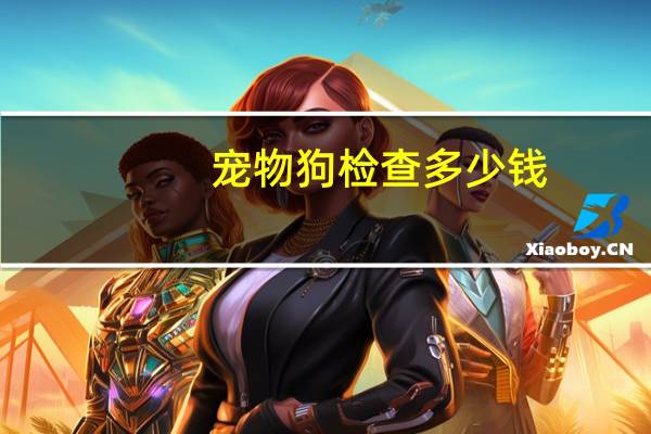 宠物狗检查多少钱