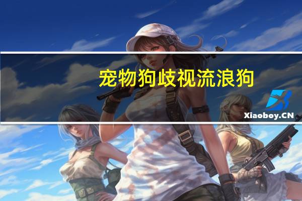 宠物狗歧视流浪狗