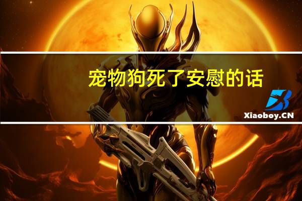 宠物狗死了安慰的话