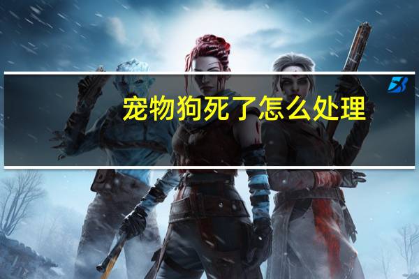 宠物狗死了怎么处理