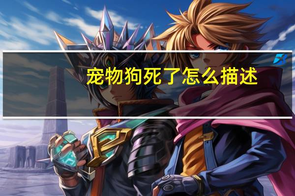 宠物狗死了怎么描述