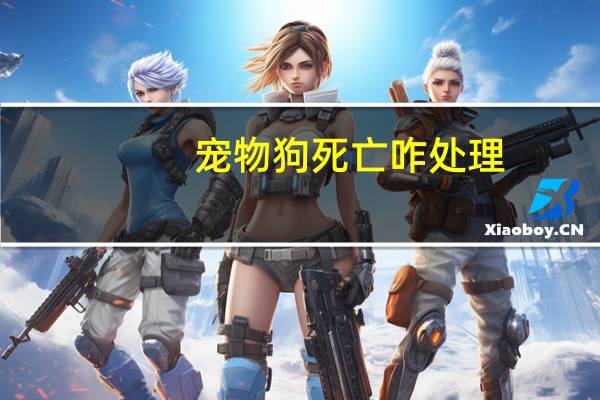 宠物狗死亡咋处理